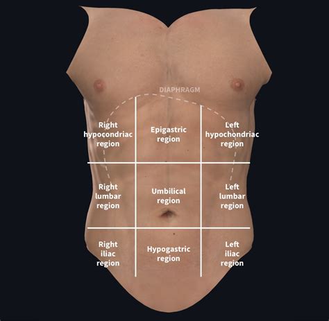 ABDOMINAL .